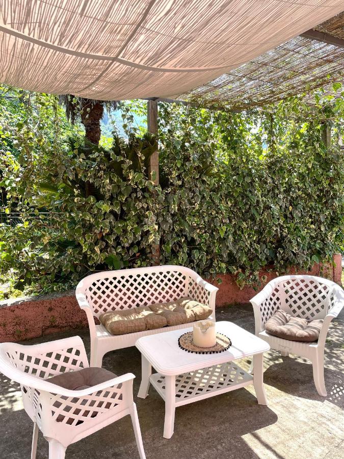 Cozy Little House Kotor Apartment Bagian luar foto